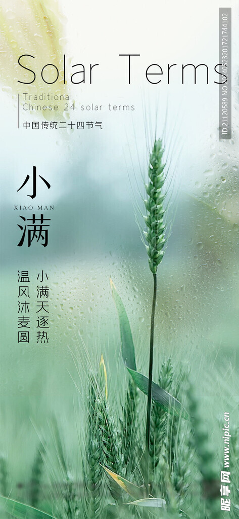 小满 节气海报