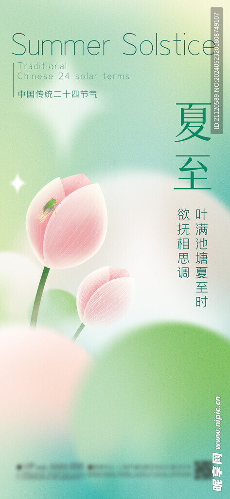 夏至 节气海报