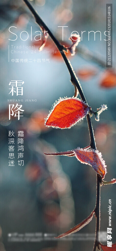 霜降 节气海报