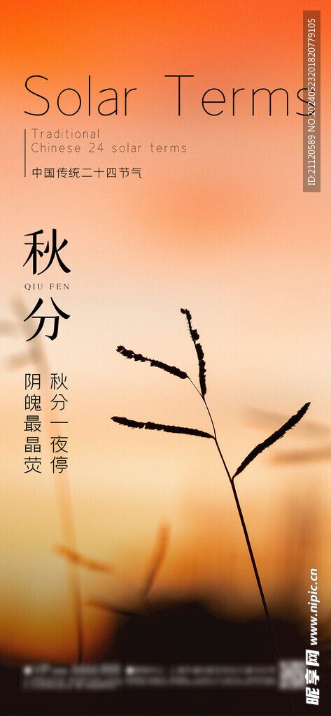 秋分 节气海报