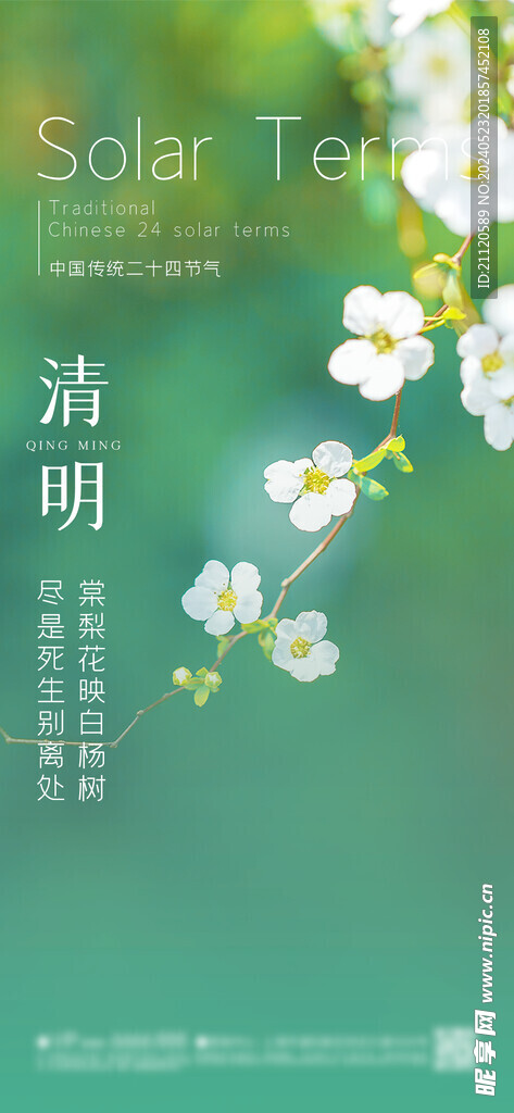清明 节气海报