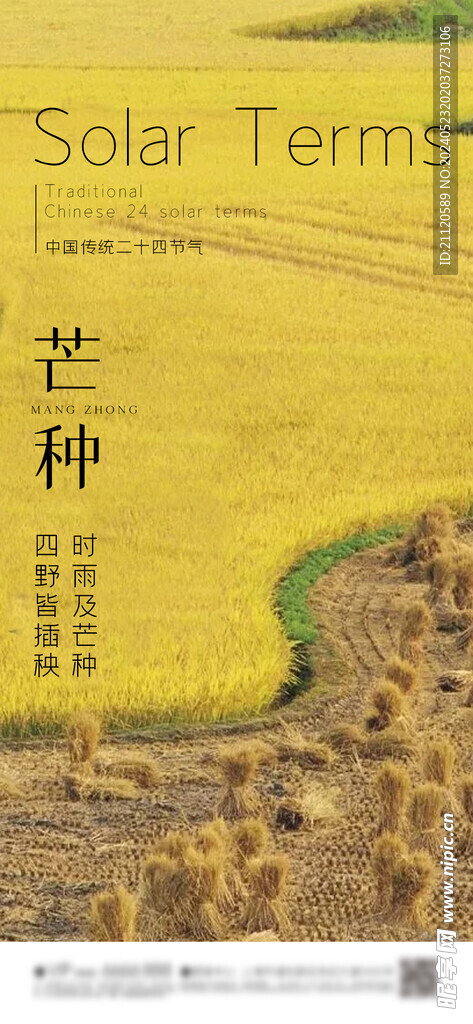 芒种 节气海报