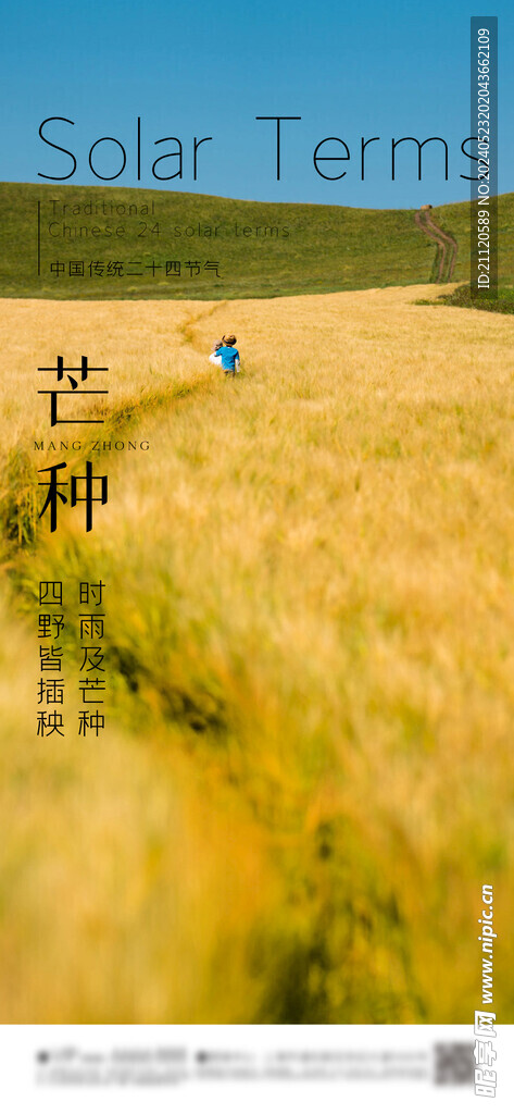 芒种 节气海报