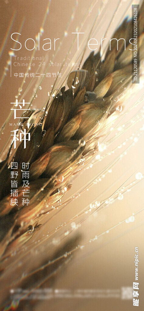 芒种 节气海报