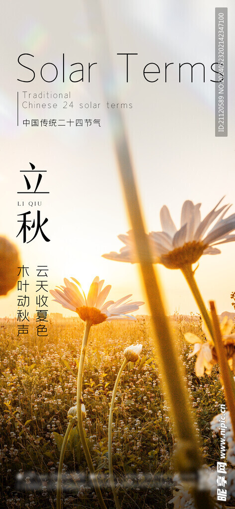 立秋 节气海报