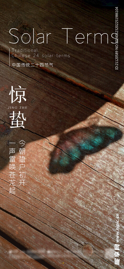 惊蛰 节气海报