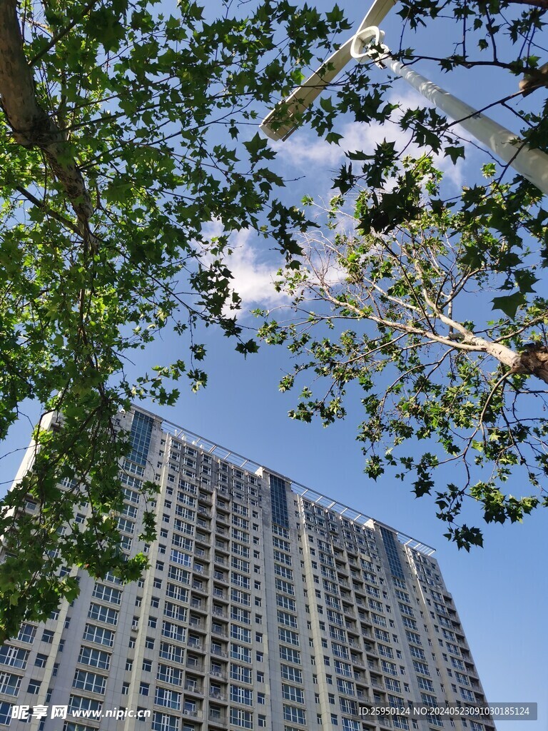 城市 天空