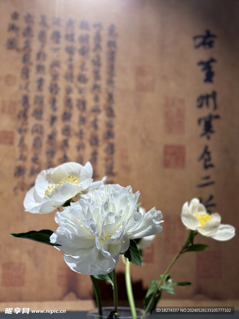 国家植物园临展鲜花