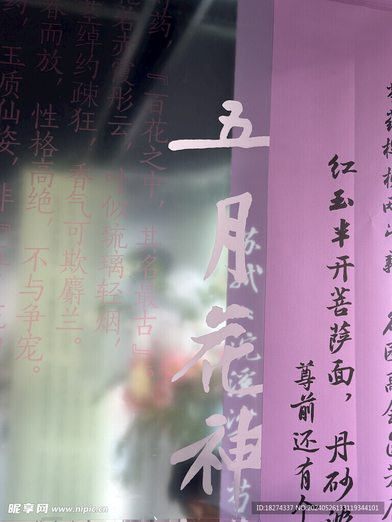 国家植物园临展展陈