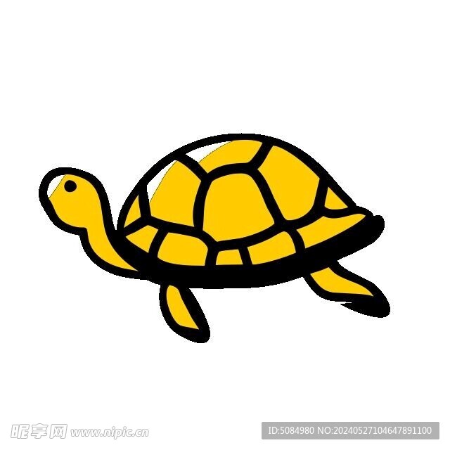海龟的涂鸦