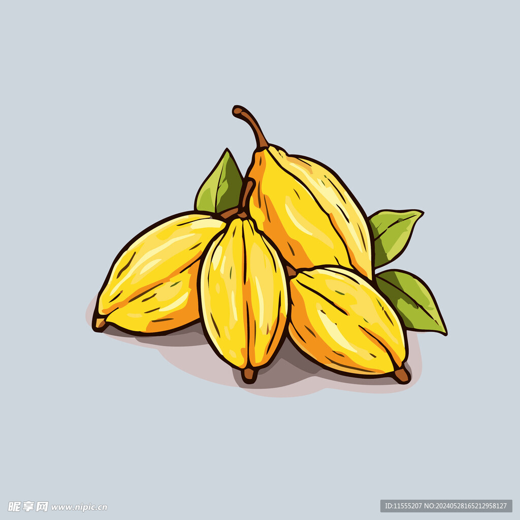 杨桃水果手绘矢量插画