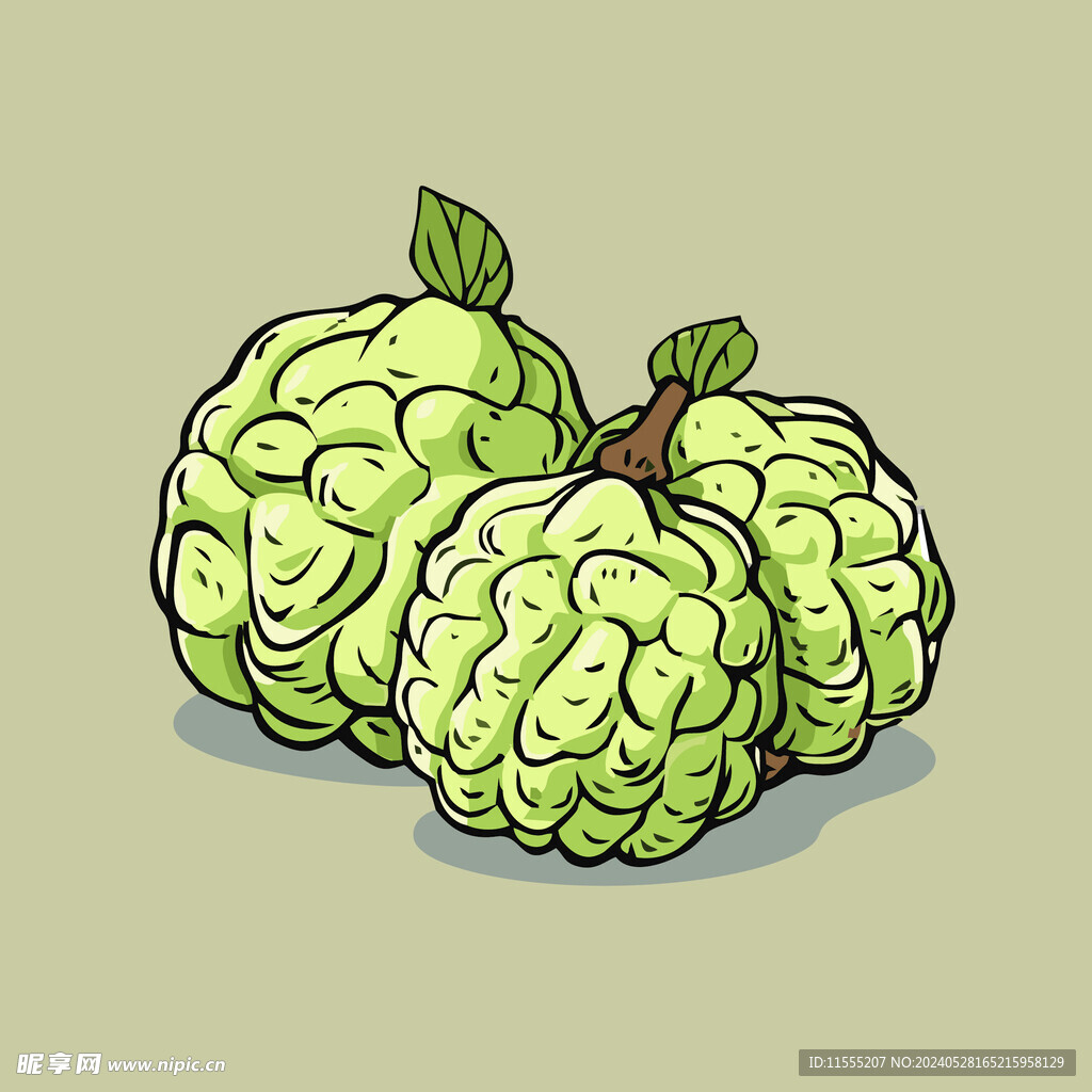 释迦果水果手绘矢量插画