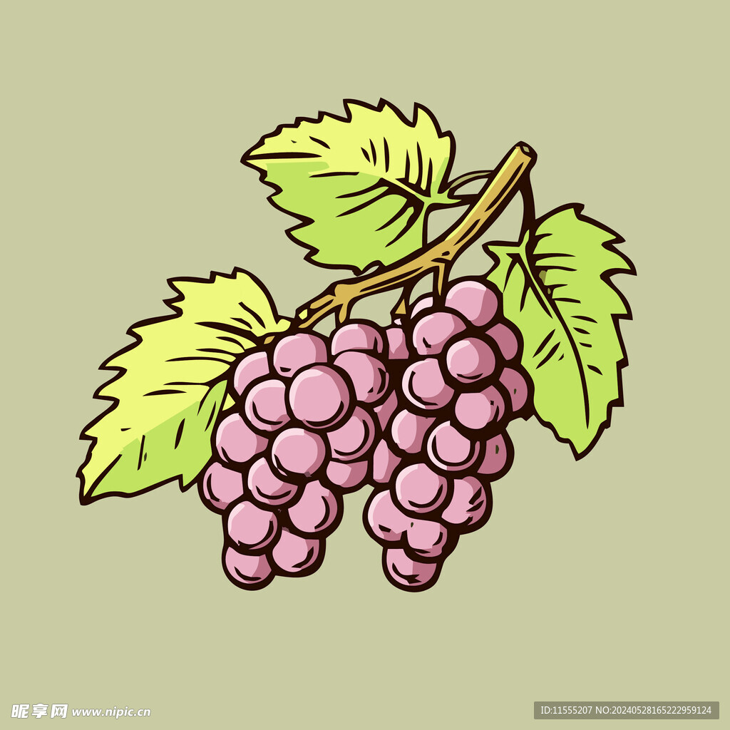 葡萄水果手绘矢量插画