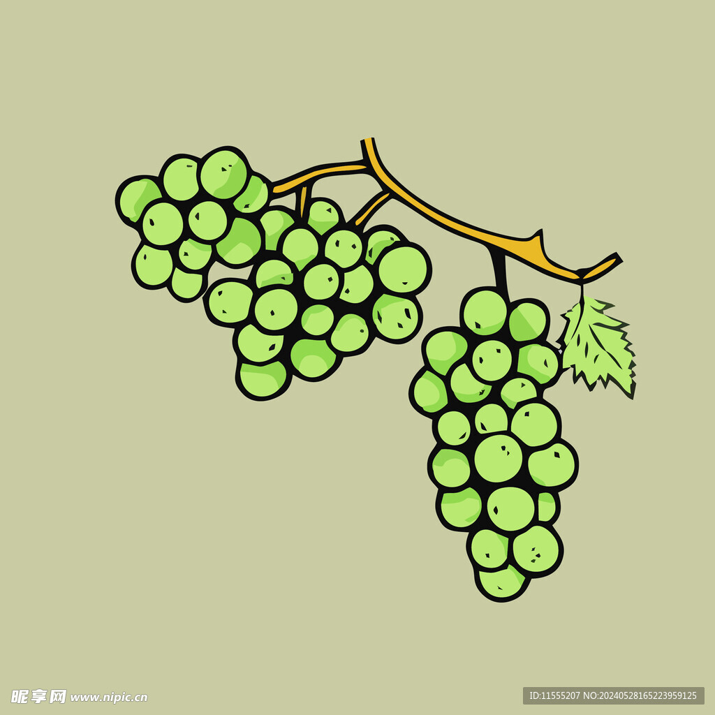 葡萄水果手绘矢量插画