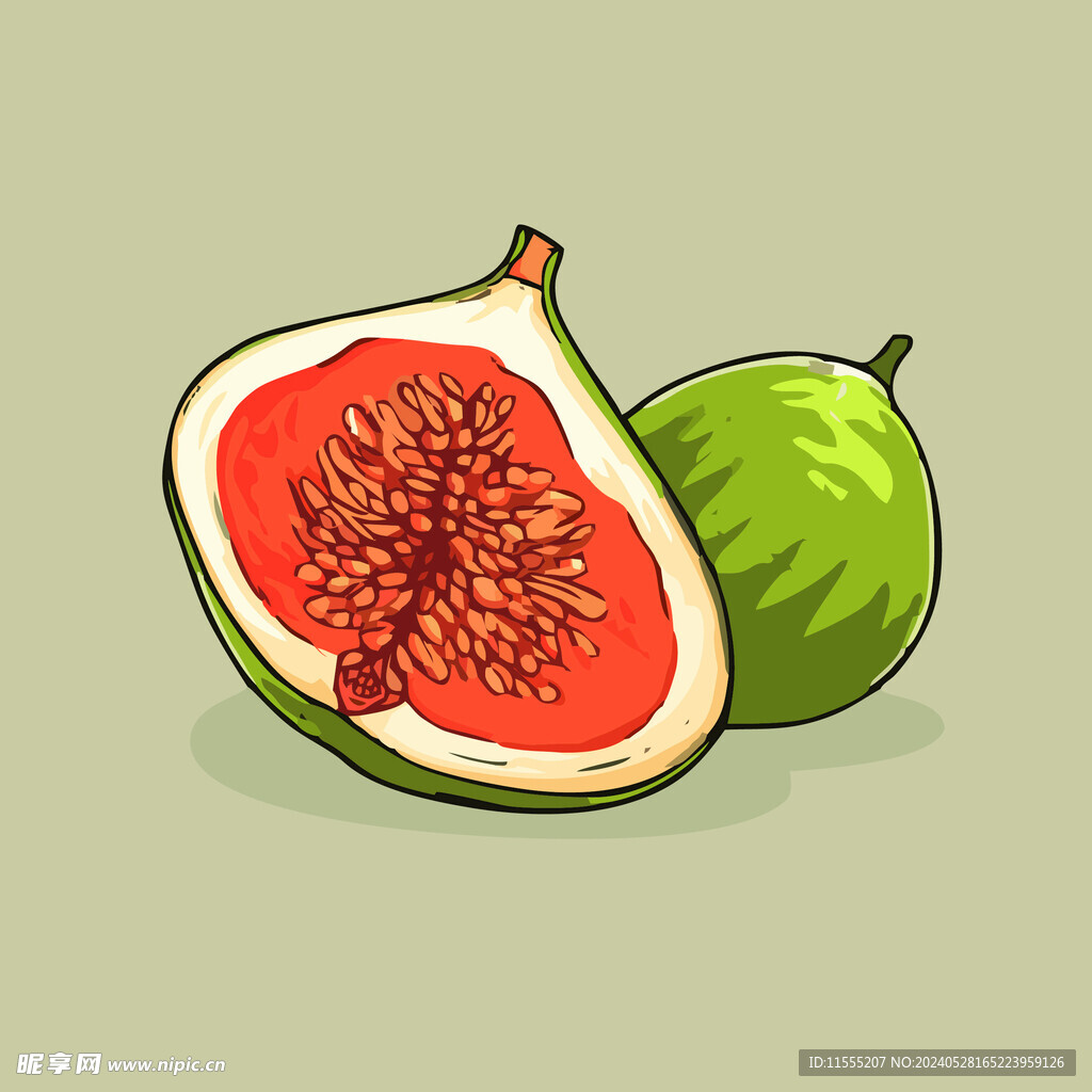 无花果水果手绘矢量插画