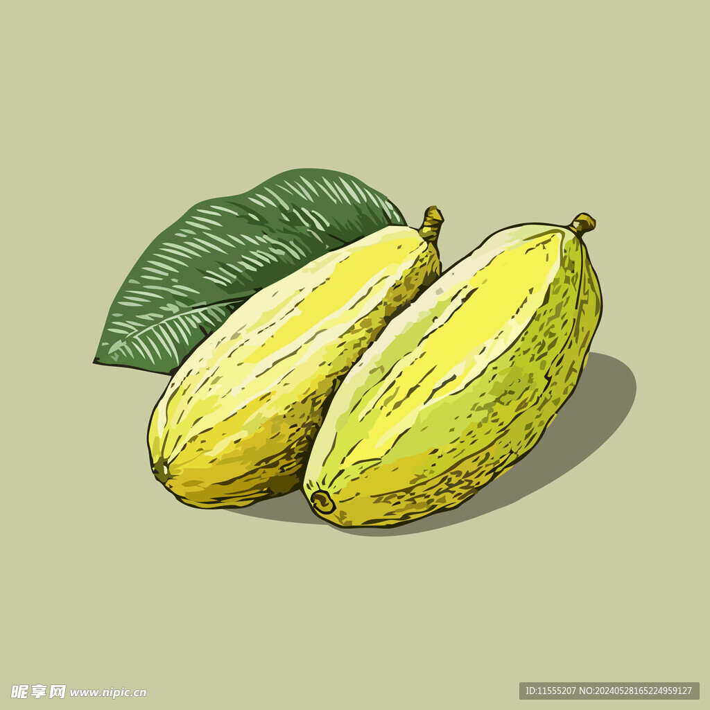 苦瓜蔬菜手绘矢量插画