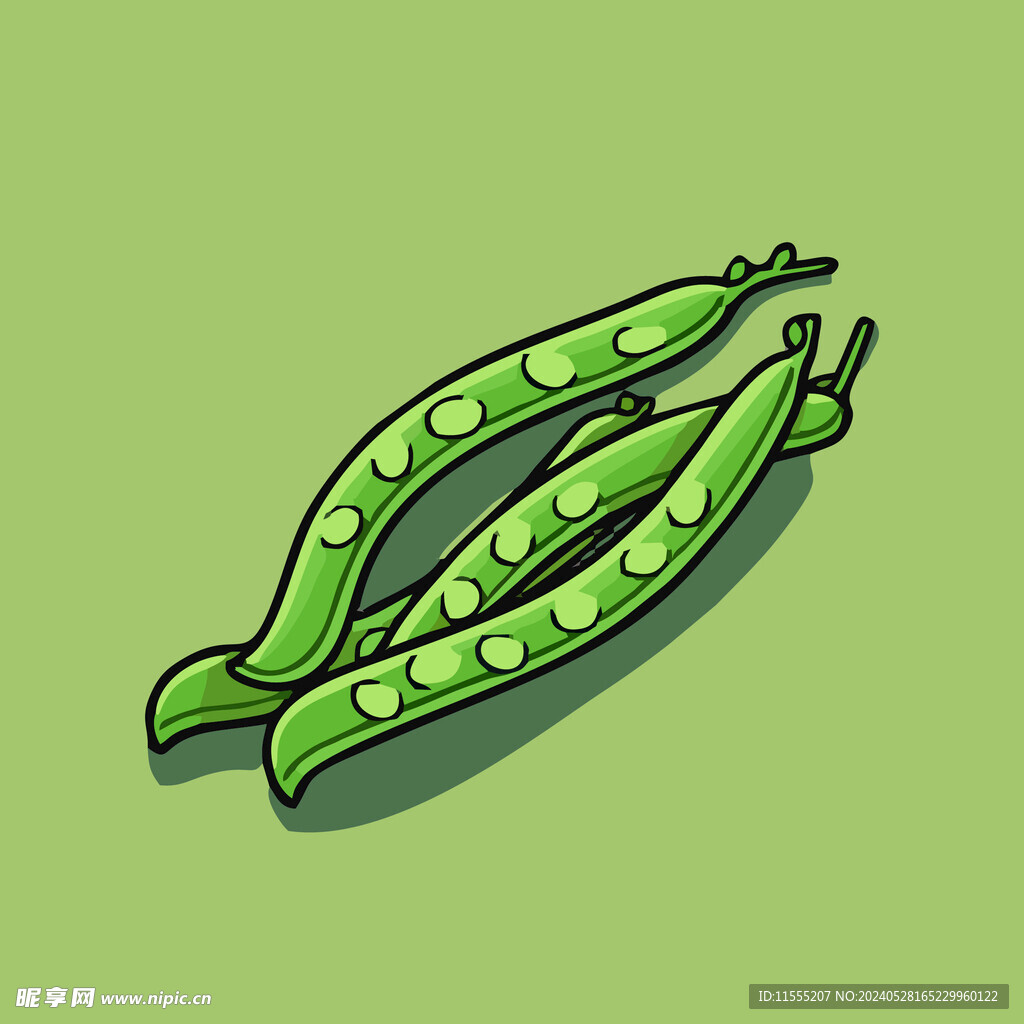 豆角蔬菜手绘矢量插画