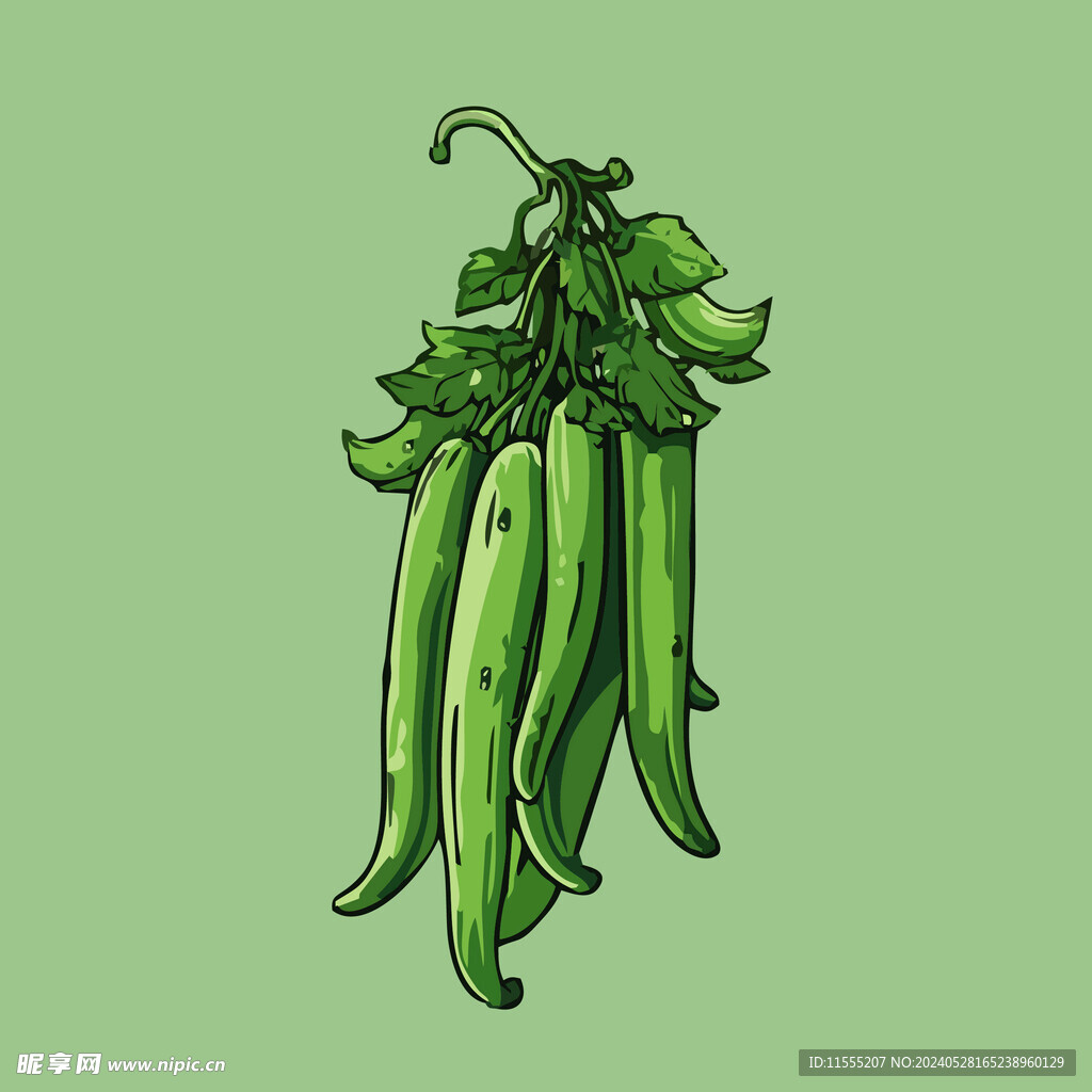 辣椒蔬菜手绘矢量插画