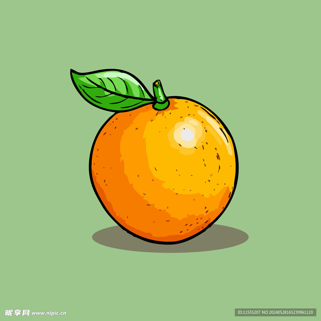 橙子水果手绘矢量插画