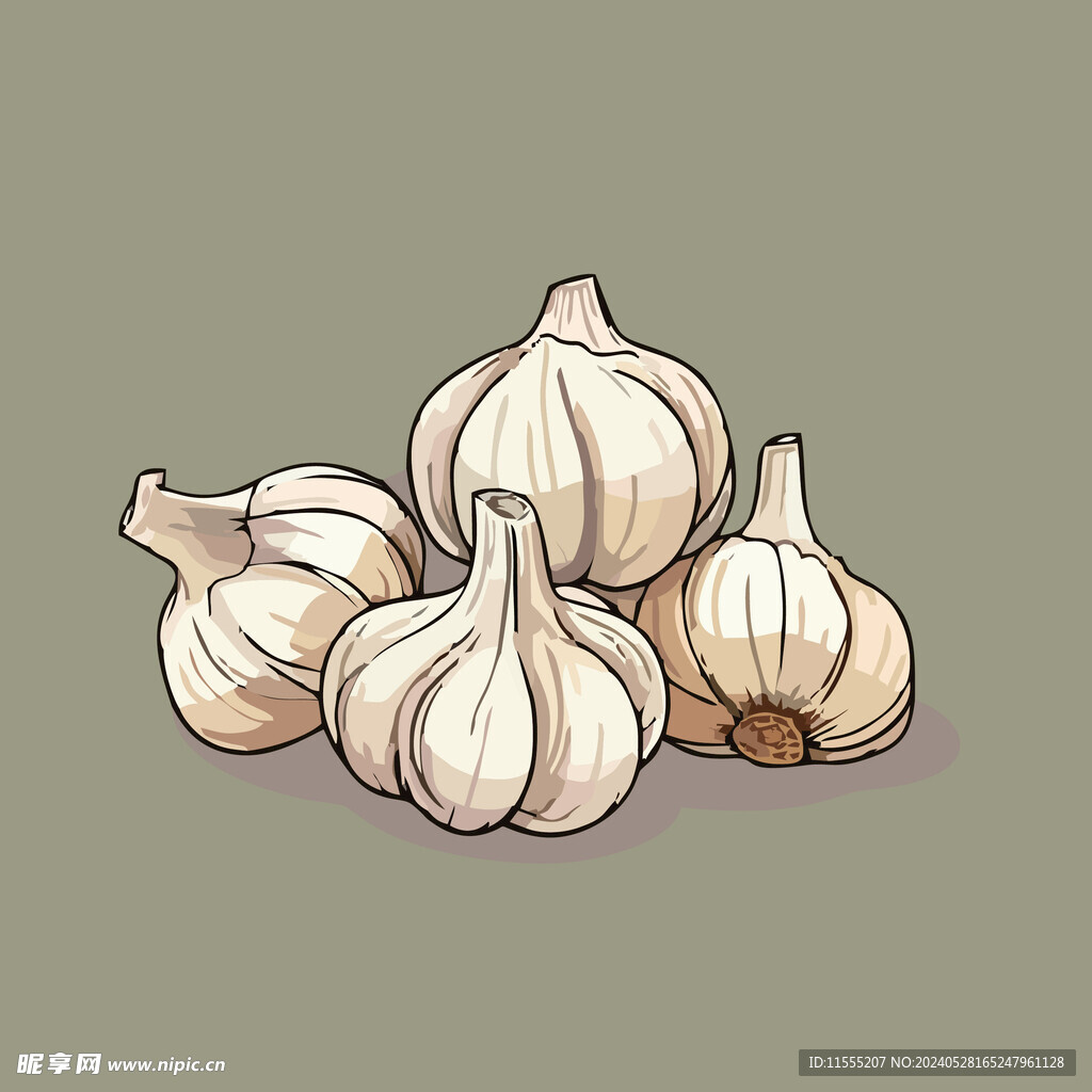 大蒜蔬菜手绘矢量插画