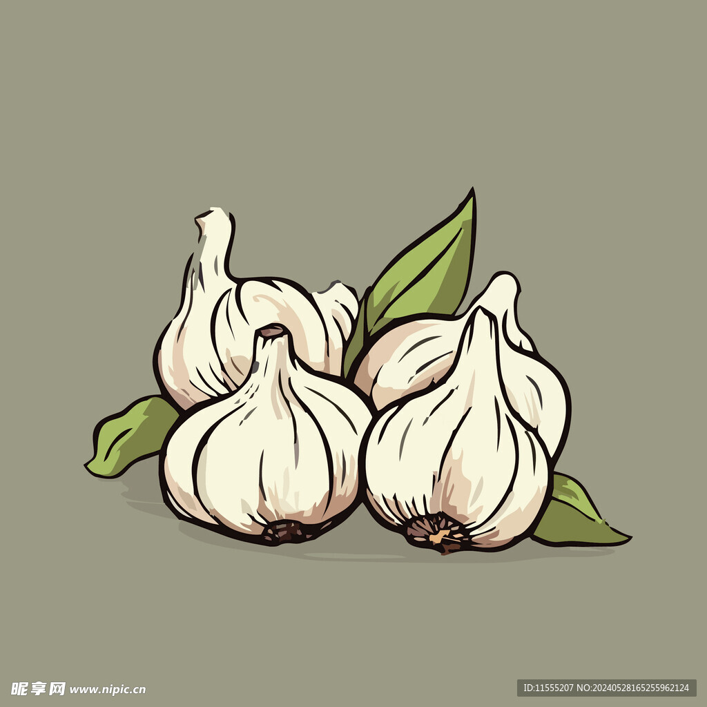 大蒜蔬菜手绘矢量插画