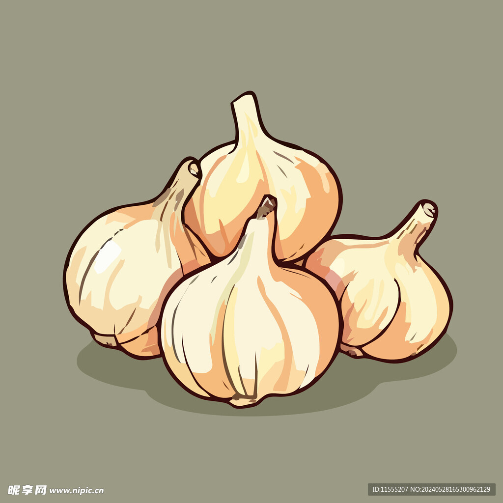 大蒜蔬菜手绘矢量插画
