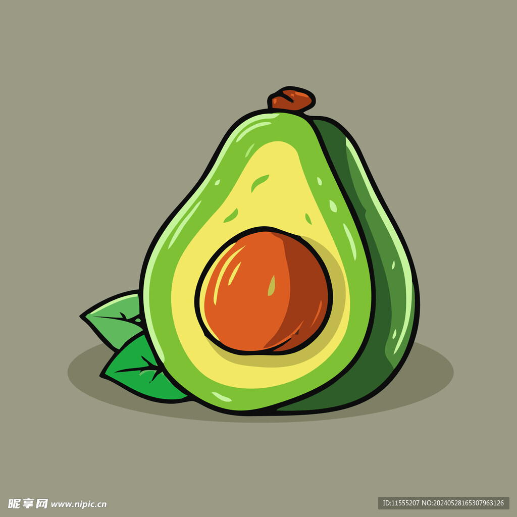 牛油果水果手绘矢量插画
