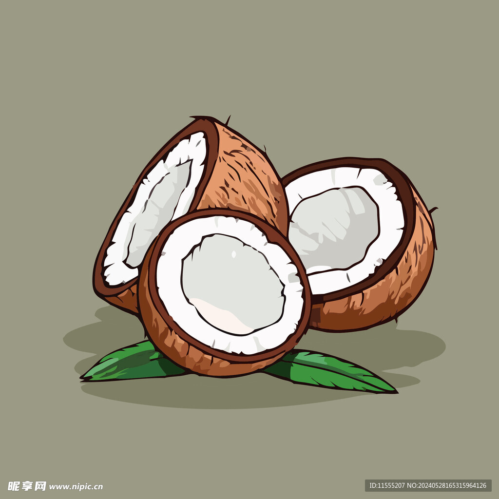 椰子水果手绘矢量插画