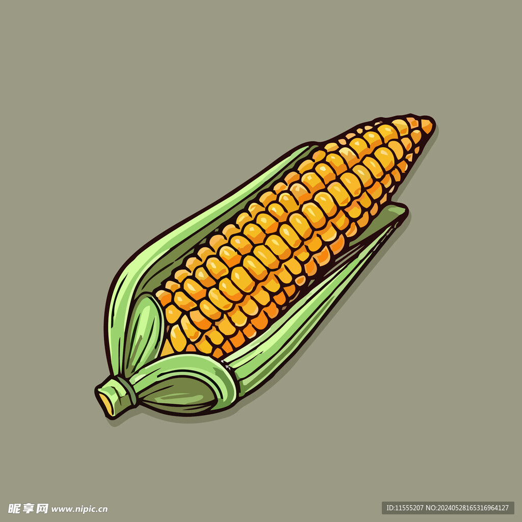 玉米蔬菜手绘矢量插画