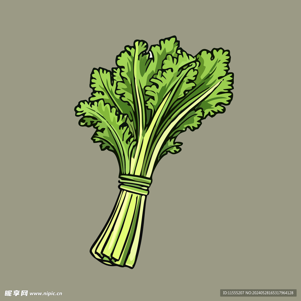 芹菜蔬菜手绘矢量插画