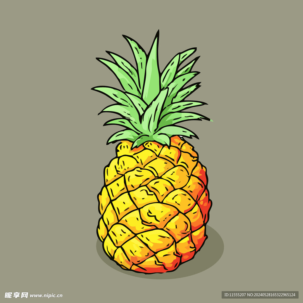 菠萝水果手绘矢量插画
