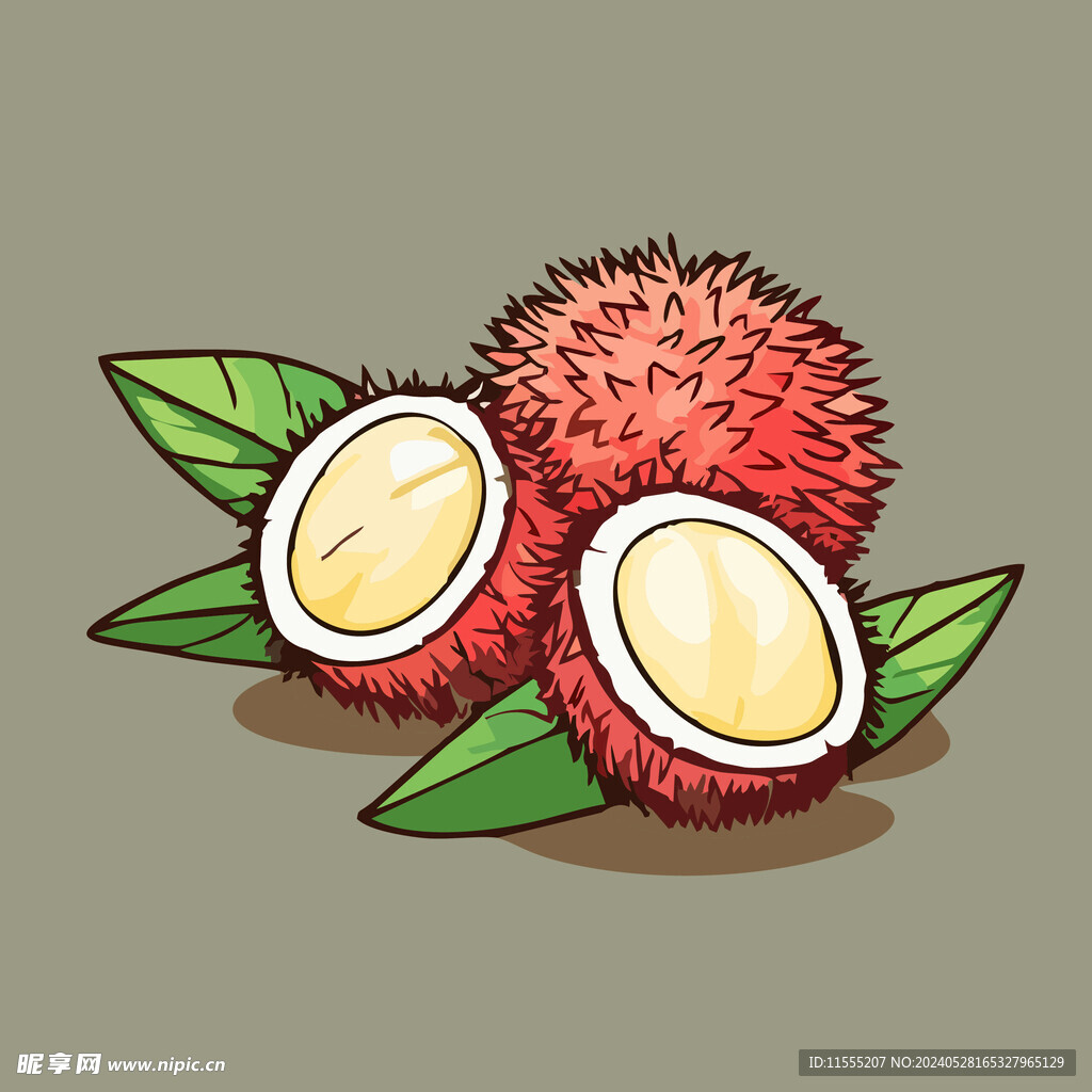 荔枝水果手绘矢量插画