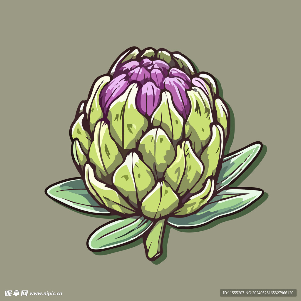 洋蓟蔬菜手绘矢量插画