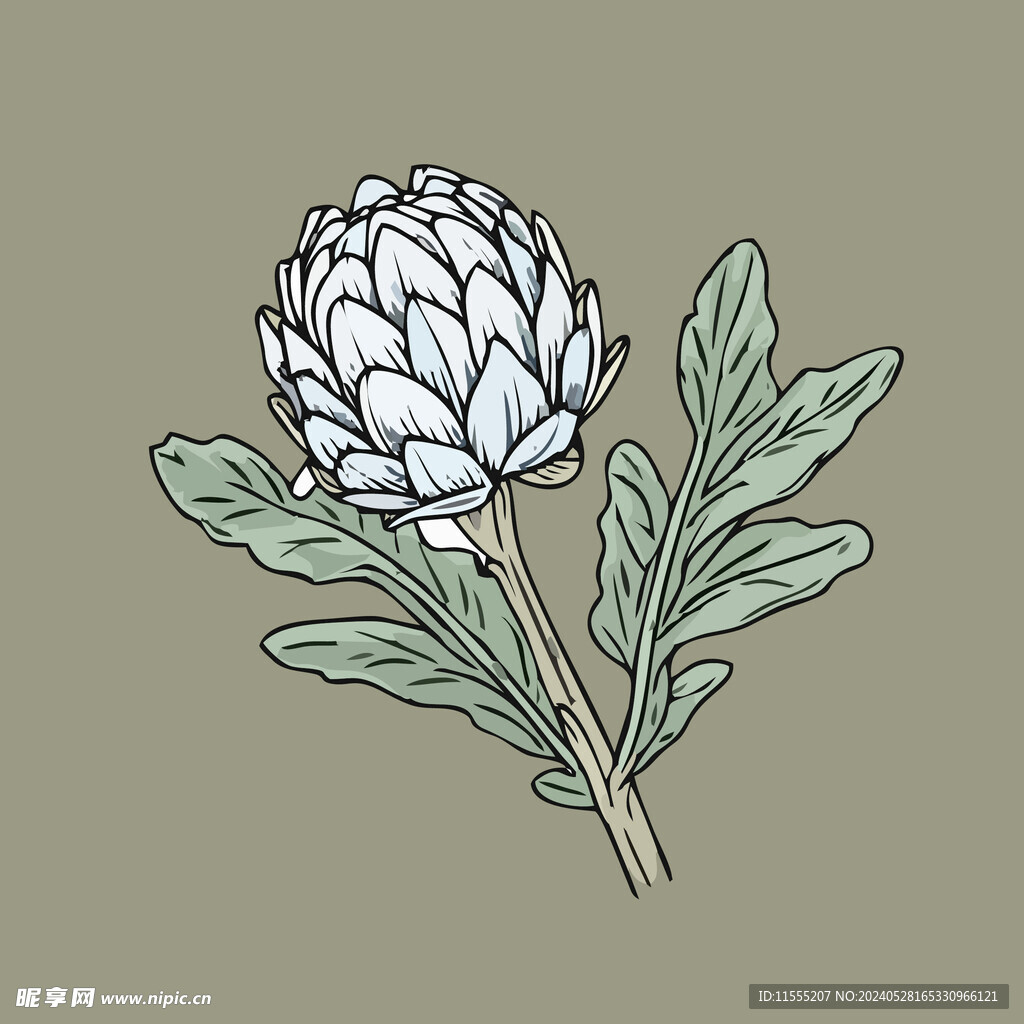 洋蓟蔬菜手绘矢量插画