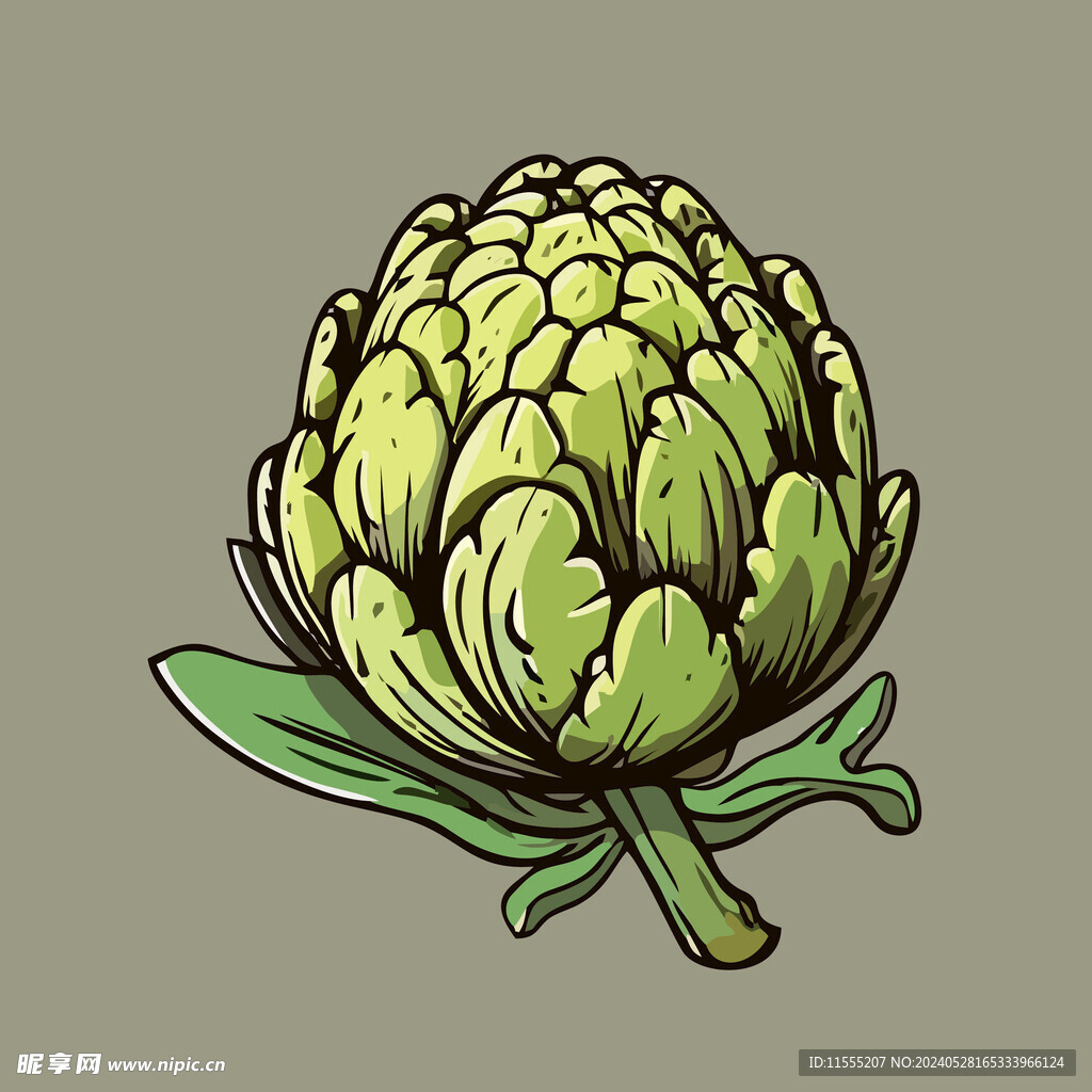 洋蓟蔬菜手绘矢量插画