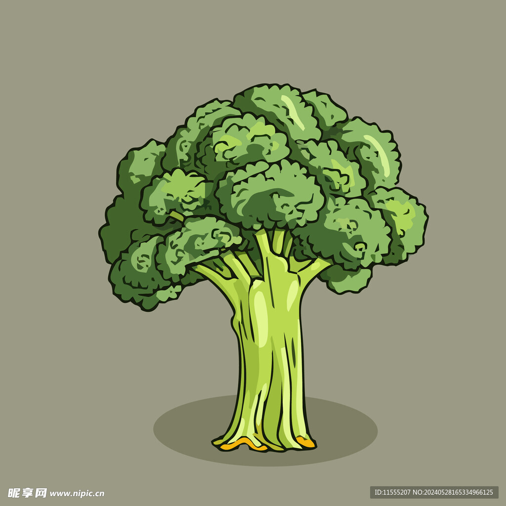 西兰花蔬菜手绘矢量插画