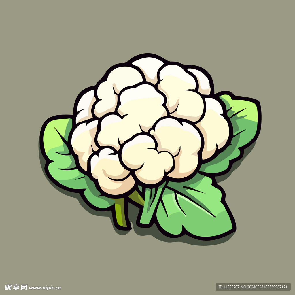 菜花蔬菜手绘矢量插画