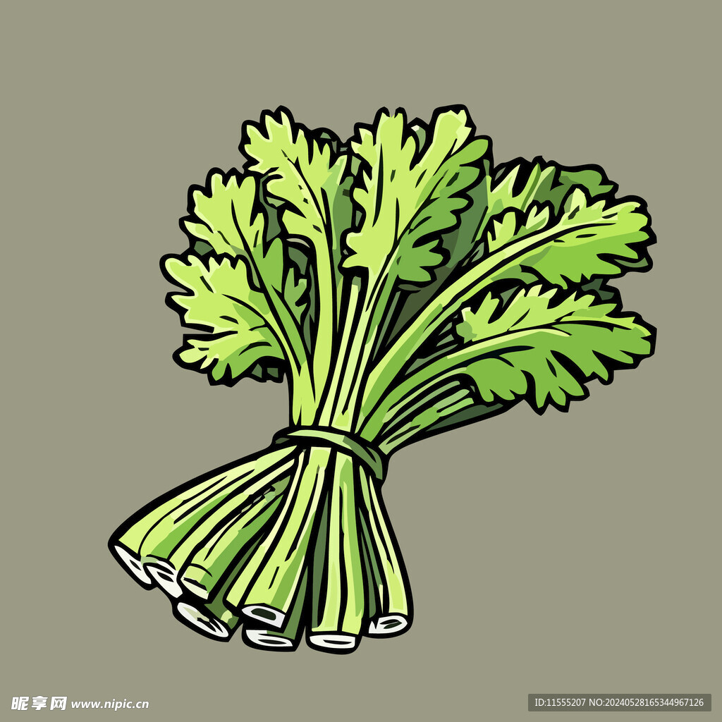 芹菜蔬菜手绘矢量插画