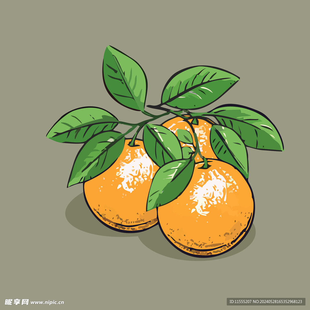 橙子水果手绘矢量插画