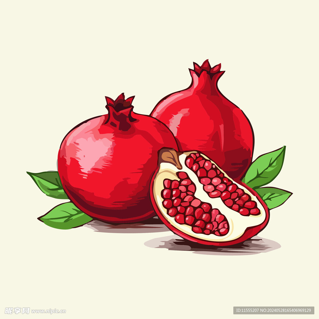 石榴水果手绘矢量插画