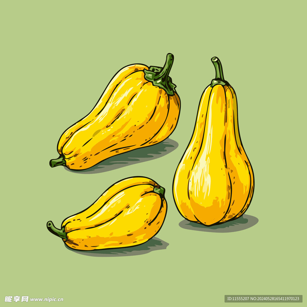 南瓜蔬菜手绘矢量插画
