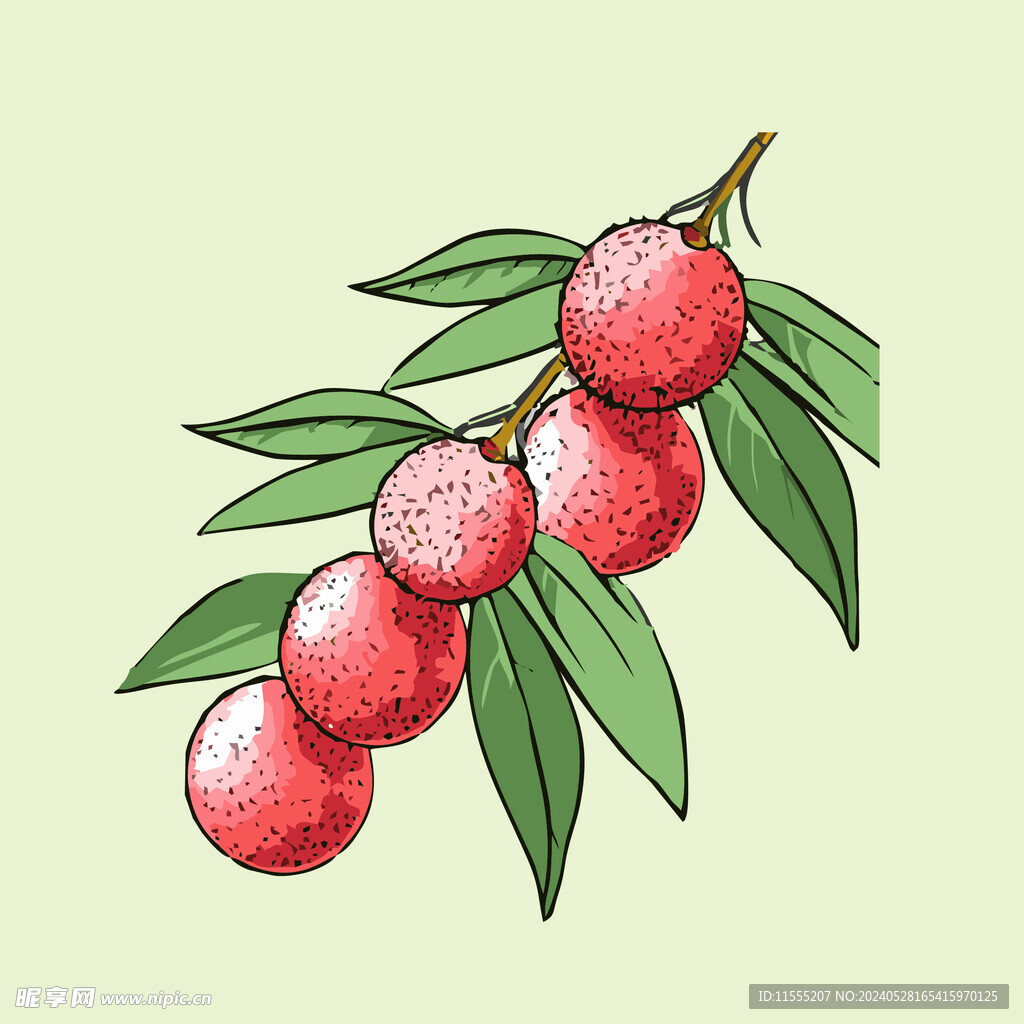 荔枝水果手绘矢量插画