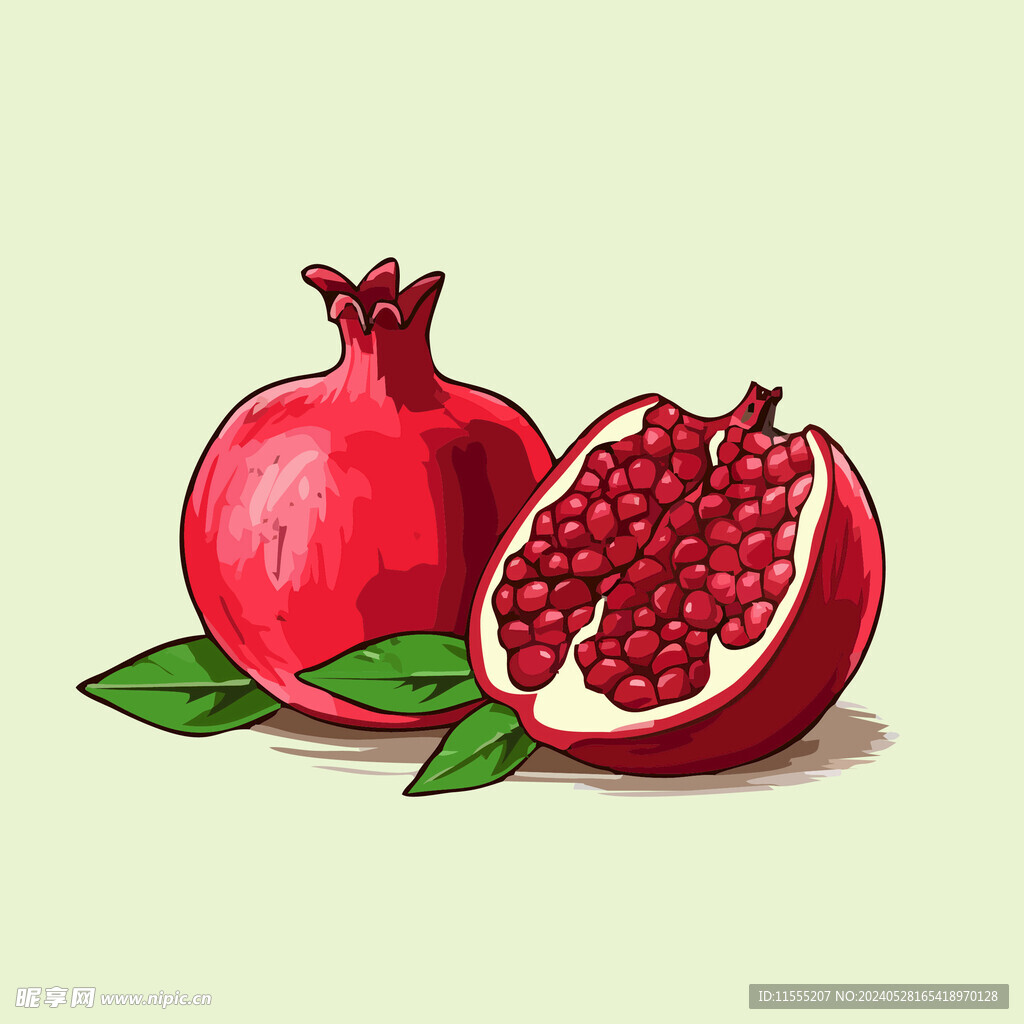 石榴水果手绘矢量插画
