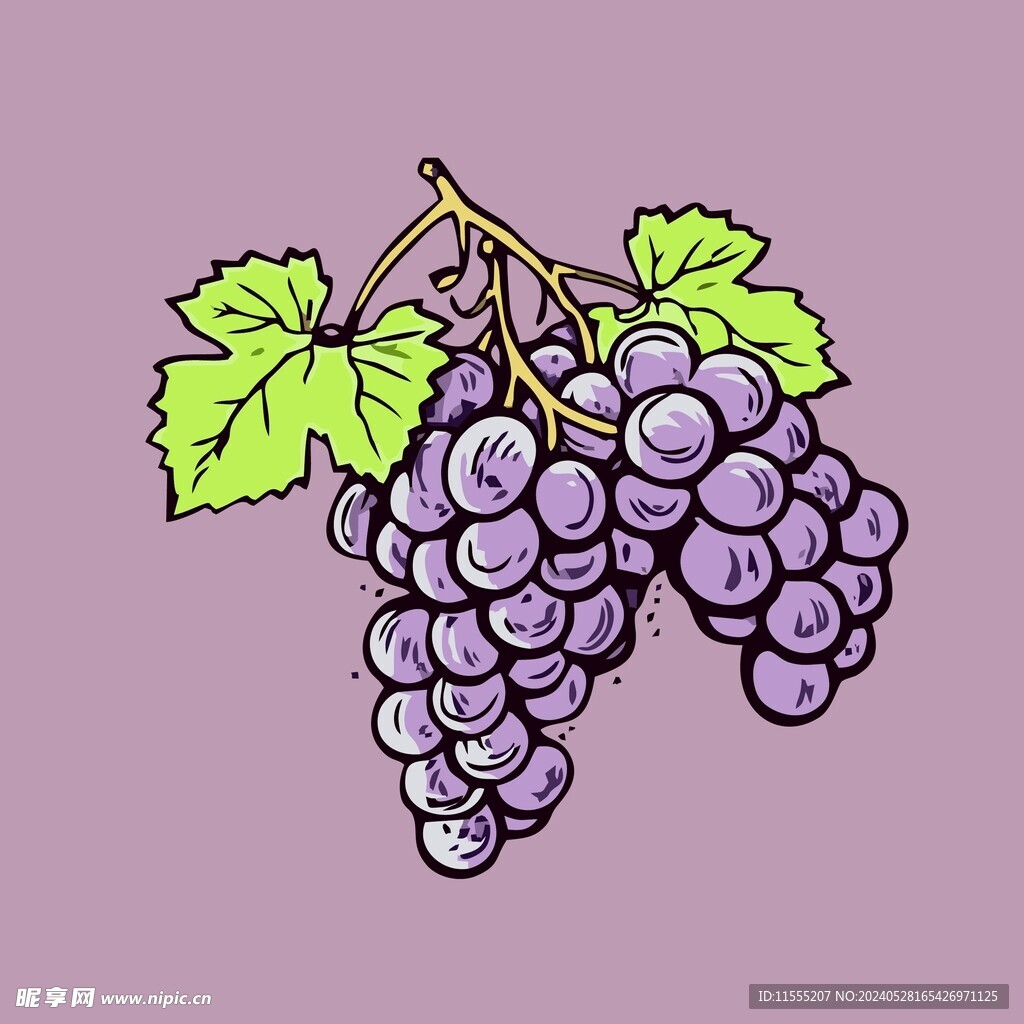 葡萄水果手绘矢量插画