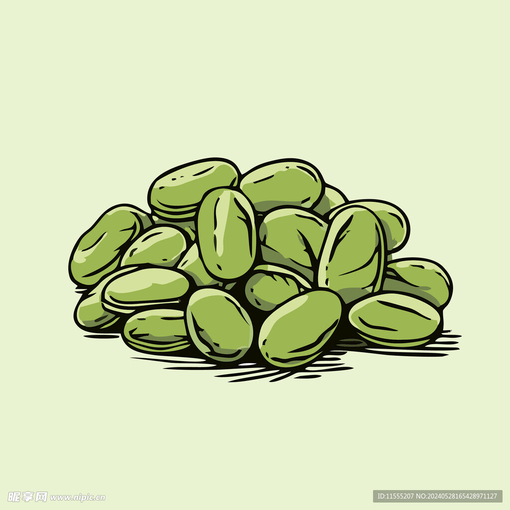 蚕豆蔬菜手绘矢量插画