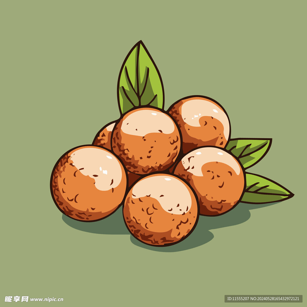 荔枝水果手绘矢量插画