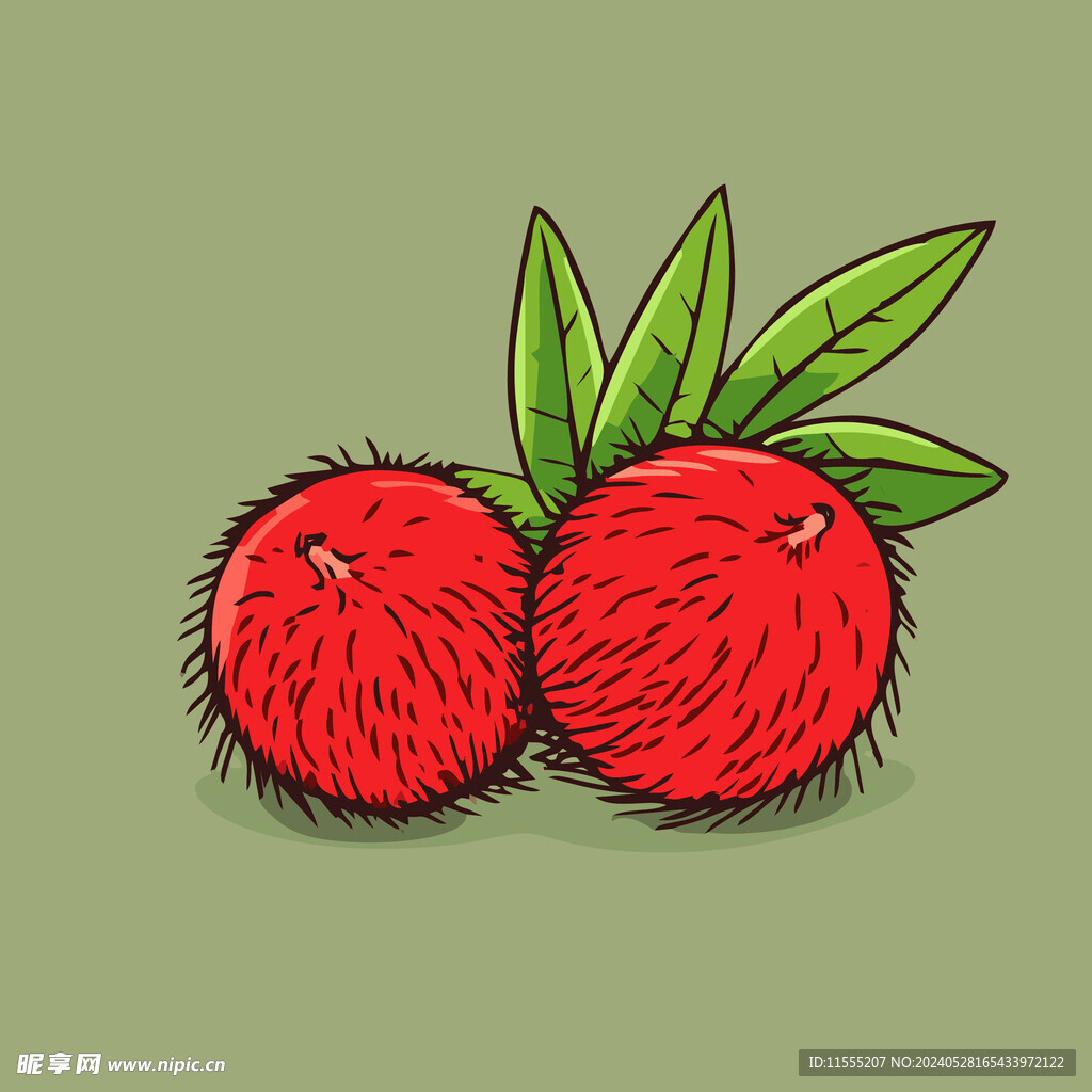 荔枝水果手绘矢量插画