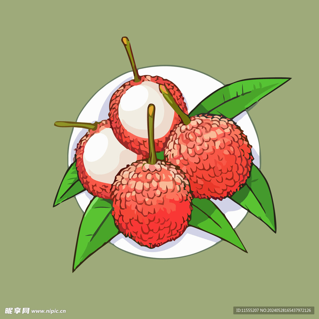 荔枝水果手绘矢量插画