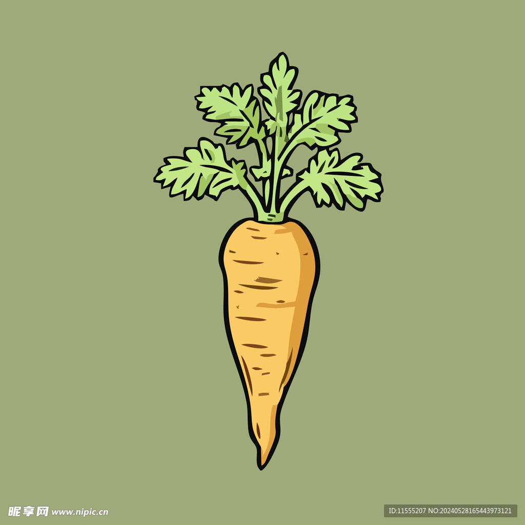 胡萝卜蔬菜手绘矢量插画