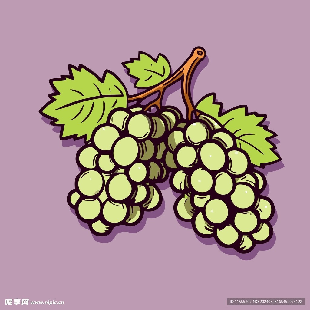 葡萄水果手绘矢量插画